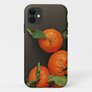 Funda Para iPhone 11 Verduras sanas