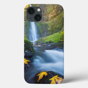 Funda Para iPhone 13 Vertical panorama view of Tunnel Falls