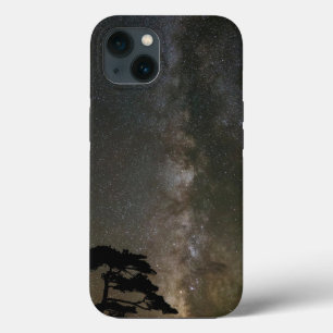 Funda Para iPhone 13 Vía Láctea con árbol Ouray Colorado