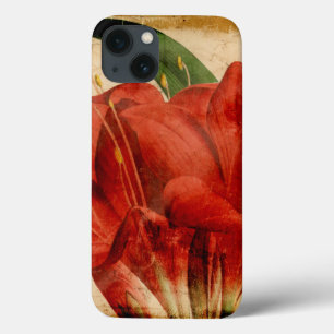 Funda Para iPhone 13 Vibrante Floral VIII