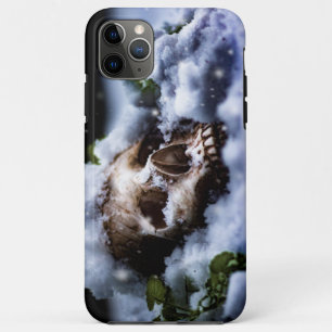 Funda Para iPhone 11 Pro Max Vida de invierno IV