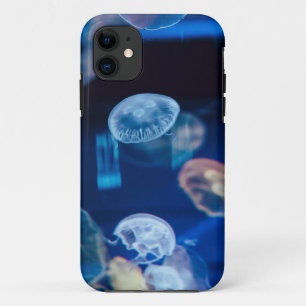 Funda Para iPhone 11 Vida marina de bonito