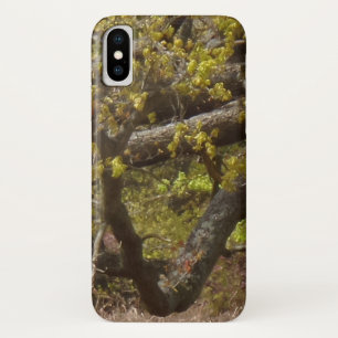title_seo2 Viejo árbol Apple iPhone X, apenas ahí PhoneCase