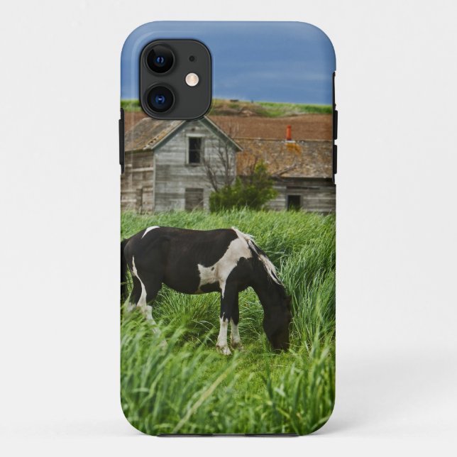 Funda De Case-Mate Para iPhone Viendo caballos en un campo del Palouse 2 (Reverso)