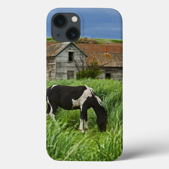 Funda De Case-Mate Para iPhone Viendo caballos en un campo del Palouse 2 (Reverso)