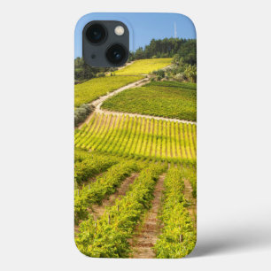 Funda Para iPhone 13 Viñedo, Stellenbosch, Cabo Occidental
