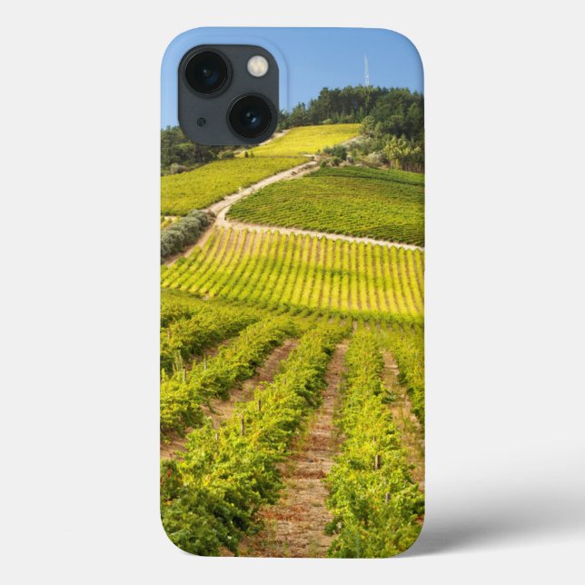 Funda De Case-Mate Para iPhone Viñedo, Stellenbosch, Cabo Occidental (Reverso)