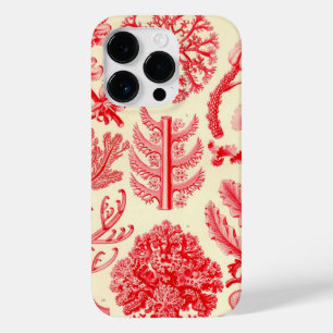 title_seo2 Vintage Haeckel