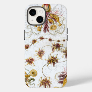 title_seo2 Vintage Haeckel