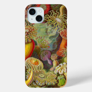 title_seo2 Vintage Haeckel Anemones
