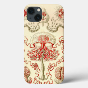 Funda Para iPhone 13 Vintage Haeckel Jellyfish