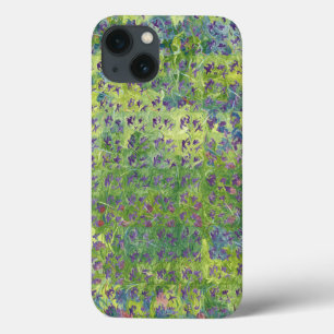 title_seo2 Violetas dulces 2012