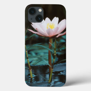 Funda Para iPhone 13 Vista de cerca de Lirio de Agua en el lago Inle