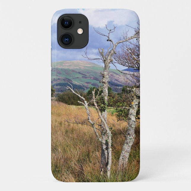 FUNDA DE Case-Mate PARA iPhone VISTAS DE GALES (Reverso)