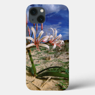 Funda Para iPhone 13 Vlei Lily (Nerine Laticoma) en flor