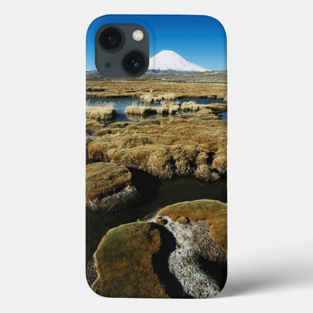 Funda De Case-Mate Para iPhone Volcanes de Payachalas (Reverso)