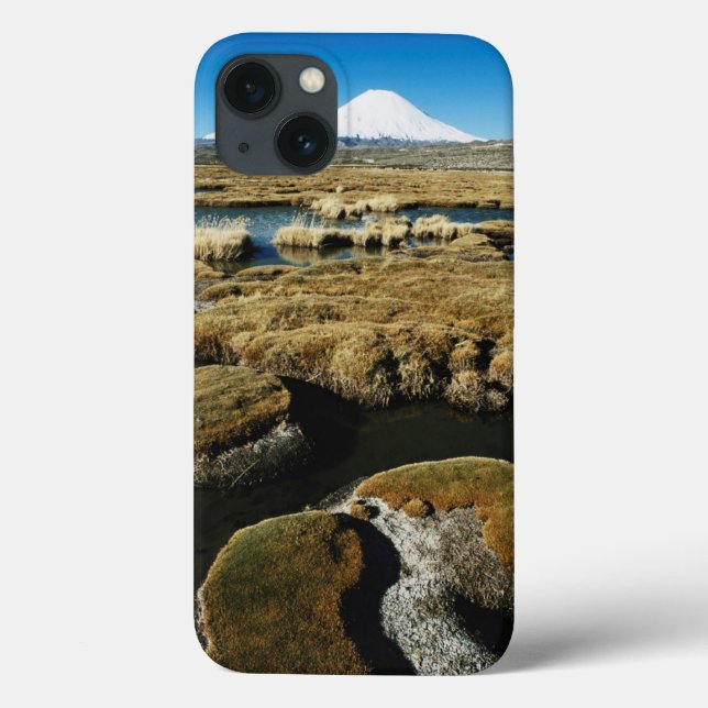 Funda De Case-Mate Para iPhone Volcanes de Payachalas (Reverso)