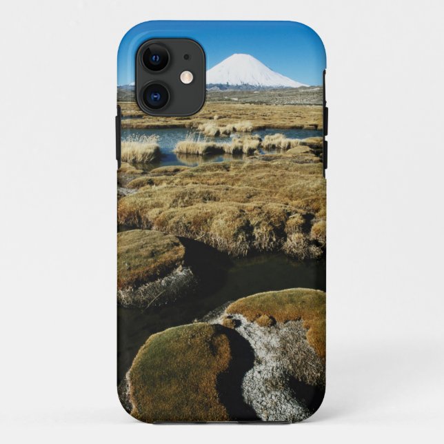 Funda De Case-Mate Para iPhone Volcanes Payachalas (Reverso)
