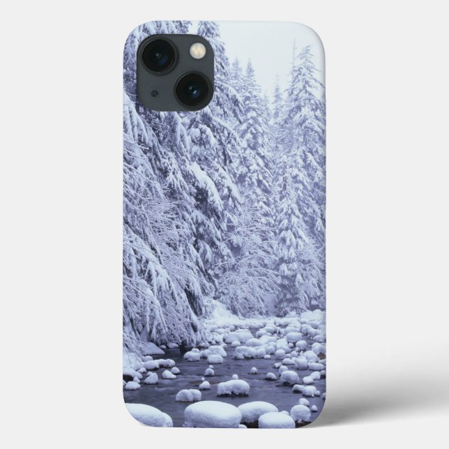 Funda De Case-Mate Para iPhone WA, Bosque Nacional Mount Baker-Snoqualmie, (Reverso)