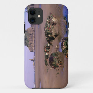Funda Para iPhone 11 WA, Olympic NP, Second Beach con piscinas de marea