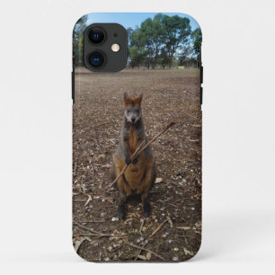 Funda Para iPhone 11 Wallaby australiano disfrutando de su palo,