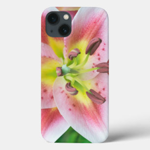 Funda Para iPhone 13 Washington, Bellevue, Lily