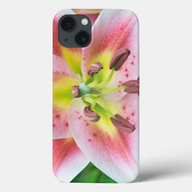 Funda De Case-Mate Para iPhone Washington, Bellevue, Lily (Reverso)