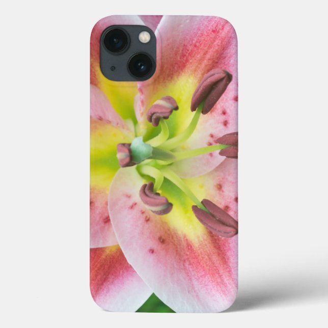 Funda De Case-Mate Para iPhone Washington, Bellevue, Lily (Reverso)