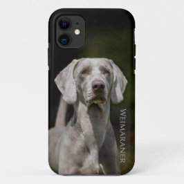 Funda Para iPhone 11 Weimaraner