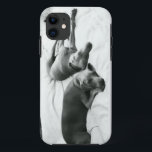 Funda Para iPhone 11 Weimaraners perezoso<br><div class="desc">Si usted ha amado nunca un Weim,  usted no necesita ninguna explicación…</div>