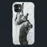 Funda Para iPhone 11 Weimaraners perezoso<br><div class="desc">Si usted ha amado nunca un Weim,  usted no necesita ninguna explicación…</div>