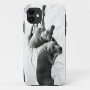 Funda Para iPhone 11 Weimaraners perezoso