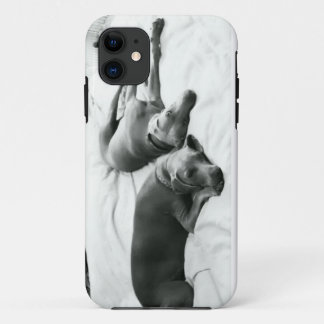 Funda Para iPhone 11 Weimaraners perezoso