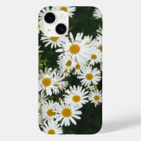 White Oxeye Daisy, Moon Daisy Meadow