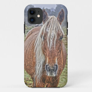 title_seo2 Wild Flaxen Maned New Forest Pony - Inglaterra