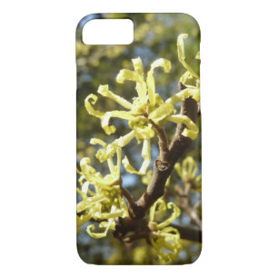 title_seo2 Witch Hazel Flowers