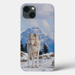 title_seo2 Wolf & Mountain Wolf-Lover Wildlife Art