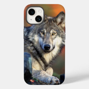 Funda Para iPhone 14 De Case-Mate Wolf Photograph Image