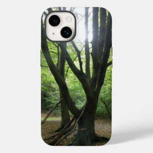 title_seo2 Woodland Sunshine