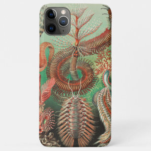 Funda Para iPhone 11 Pro Max Worms, Annelids Chaetopoda por Ernst Haeckel