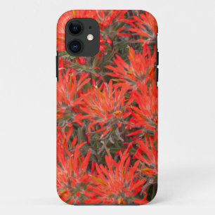 title_seo2 Wyoming, condado de Lincoln, Desert Paintbrush