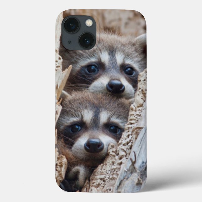 Funda De Case-Mate Para iPhone Wyoming, Condado de Lincoln, Raccoon (Reverso)