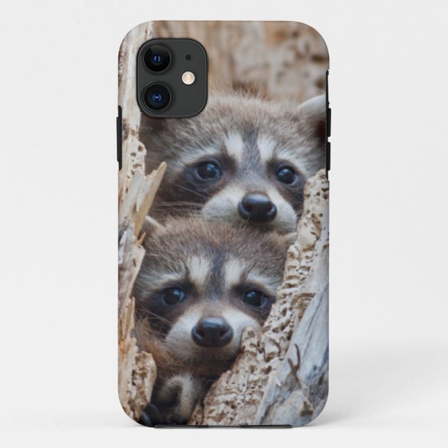 Funda De Case-Mate Para iPhone Wyoming, Condado de Lincoln, Raccoon (Reverso)