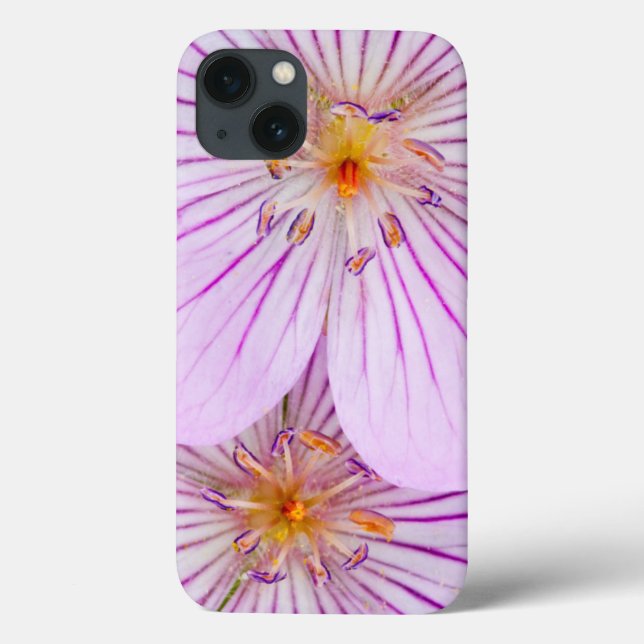 Funda De Case-Mate Para iPhone Wyoming, condado de Sublette, cierre de dos Sticky (Reverso)