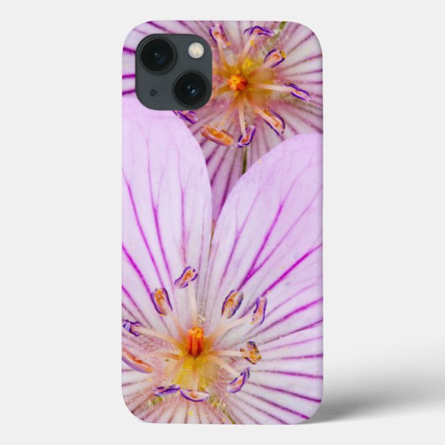 Funda De Case-Mate Para iPhone Wyoming, condado de Sublette, cierre de dos Sticky (Reverso)