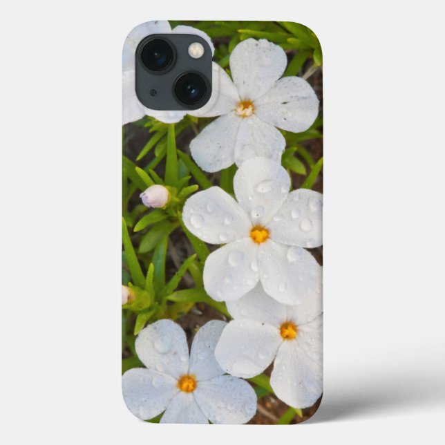 Funda De Case-Mate Para iPhone Wyoming, Sublette County, Close-up of Phlox (Reverso)