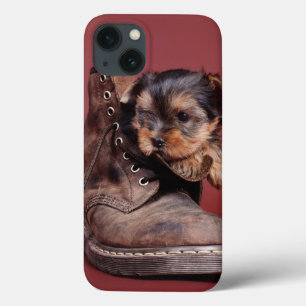 title_seo2 Yorkie y bota