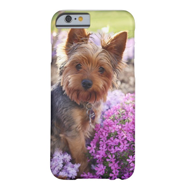 Funda De Case-Mate Para iPhone Yorkshire Terrier (Reverso)