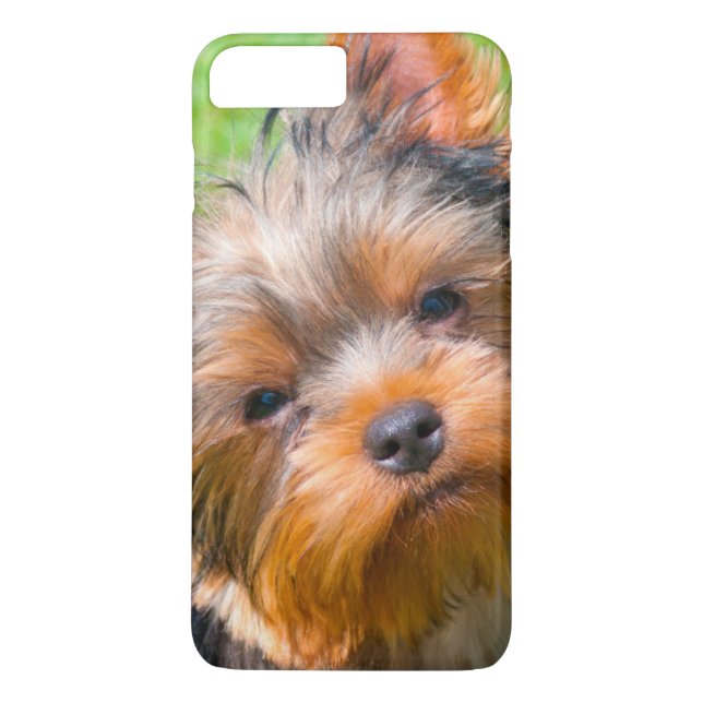 Funda De Case-Mate Para iPhone Yorkshire Terrier mirando (Reverso)