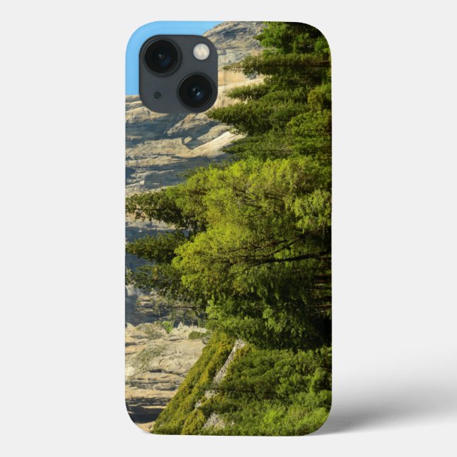 Funda De Case-Mate Para iPhone Yosemite desde el suelo del valle, Sierra-Nevada (Reverso)